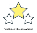 Feuilles en fibre de carbone