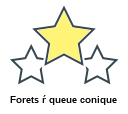 Forets ŕ queue conique