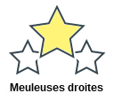 Meuleuses droites