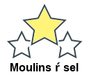 Moulins ŕ sel